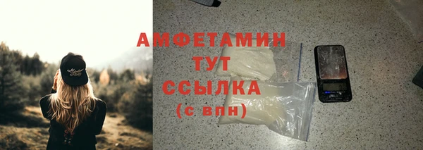 индика Коряжма