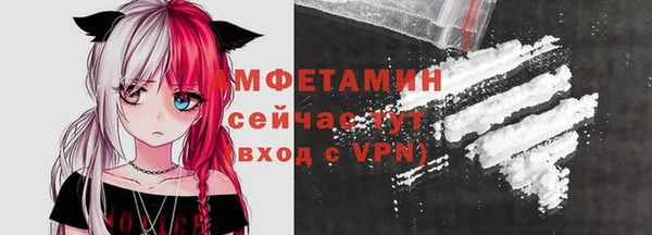 прущие грибы Костерёво