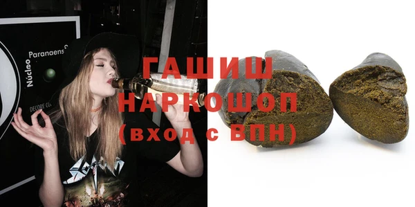 индика Коряжма