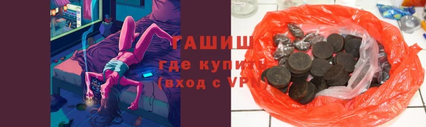 индика Коряжма