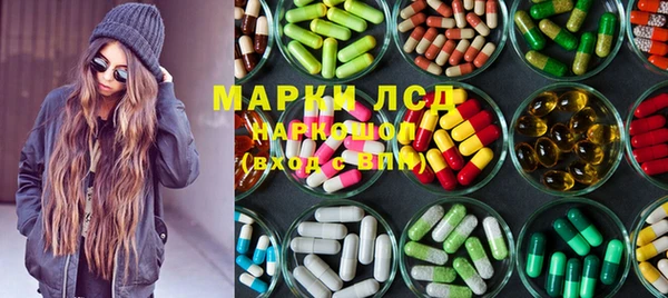 индика Коряжма