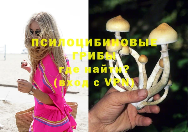 прущие грибы Костерёво