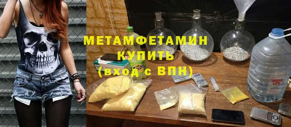 прущие грибы Костерёво