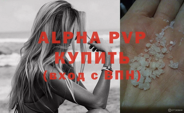 прущие грибы Костерёво