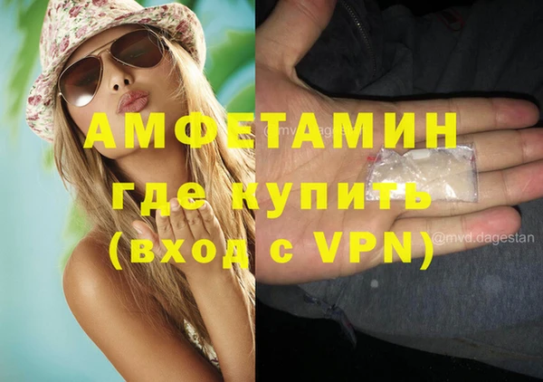 индика Коряжма