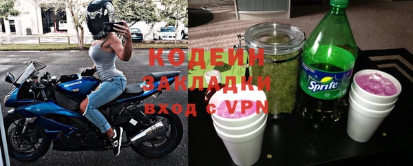 индика Коряжма