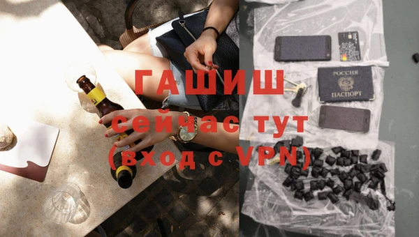 индика Коряжма