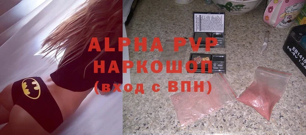 индика Коряжма