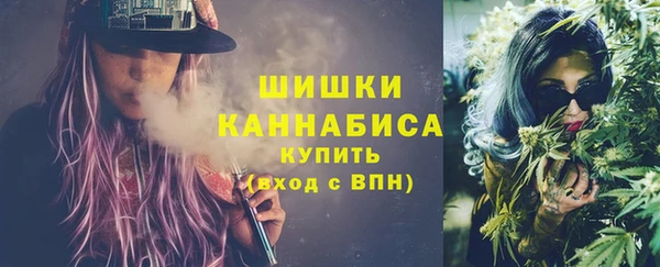 прущие грибы Костерёво