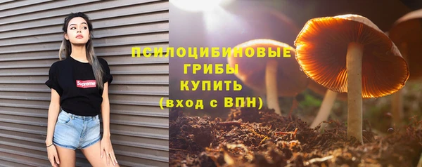 прущие грибы Костерёво