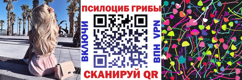 Купить закладки  Домодедово  Галлюциногенные грибы Cubensis 