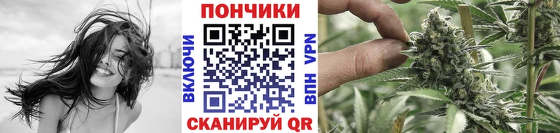 Купить где  Домодедово  МАРИХУАНА планчик 